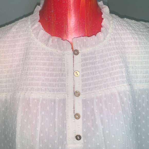 LOFT Sweet Pea Top NWT - Picture 8 of 10